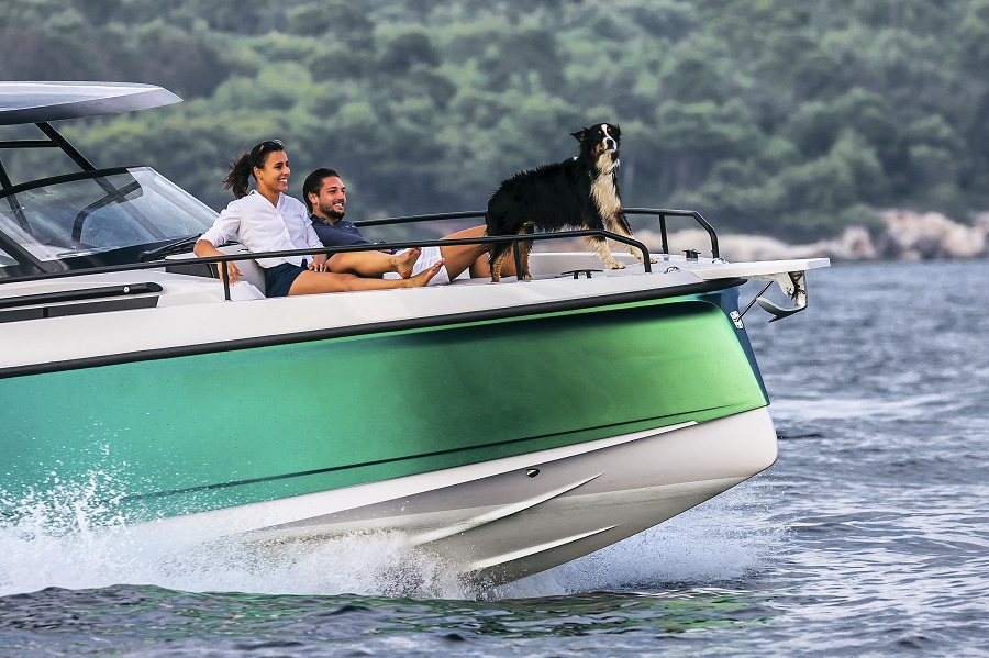 Sailing with Pets 101: The Dos and Don'ts On Board